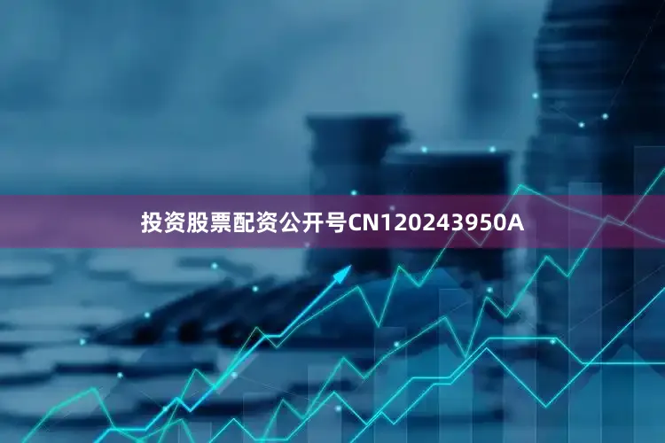 投资股票配资公开号CN120243950A