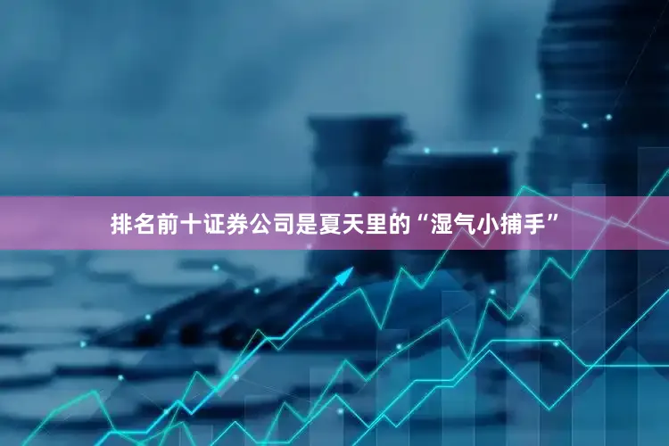 排名前十证券公司是夏天里的“湿气小捕手”