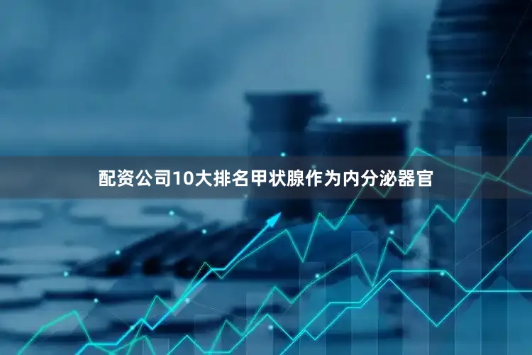 配资公司10大排名甲状腺作为内分泌器官
