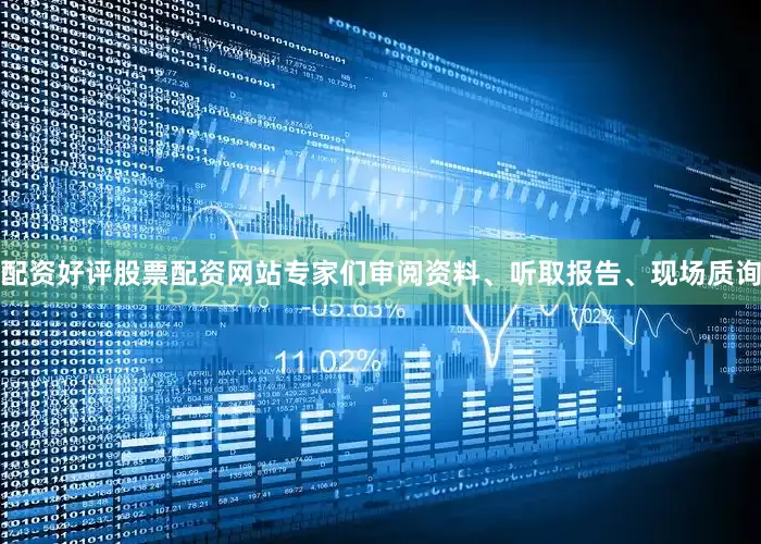 配资好评股票配资网站专家们审阅资料、听取报告、现场质询